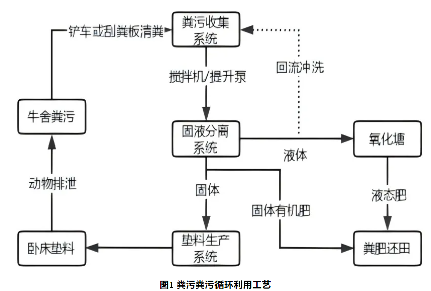1732241371142991 image.png