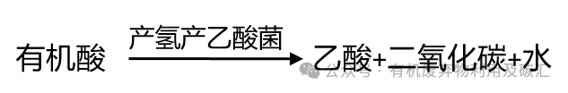 1765248396130260 94cf6feae78311ac1c3cc4a612a52ac2.png