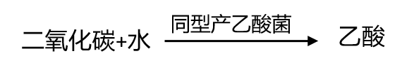 1765248430873557 c84e82c91de82b59204783975789ac1c.png