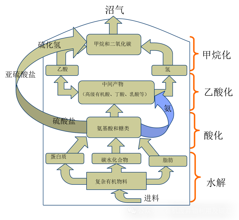 1765248503125727 b803d137e2384518f87c01c7acae47be.png